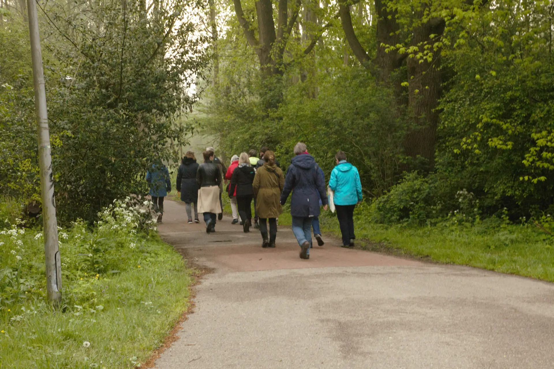 Vogel excursie