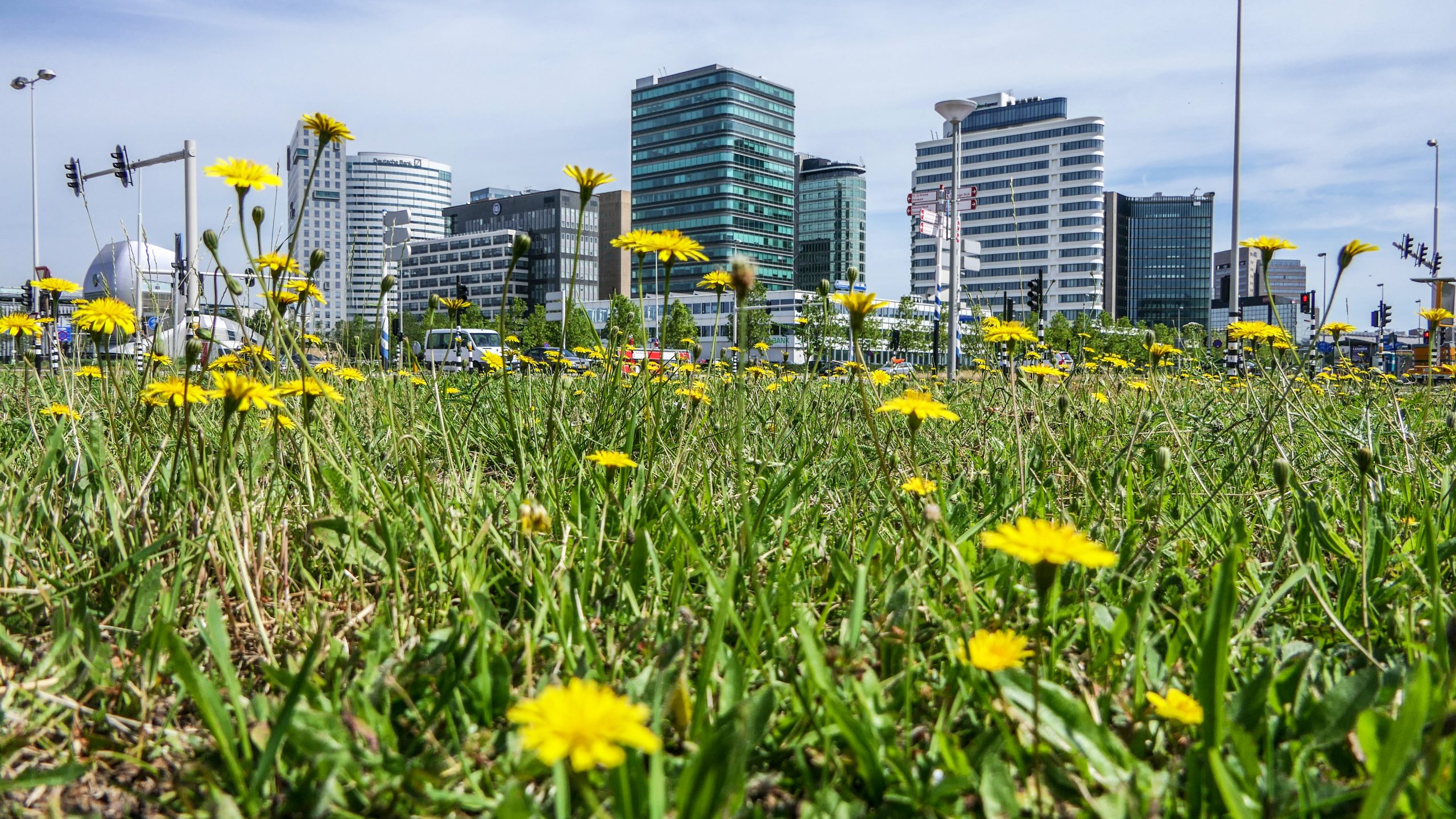Werken en ondernemen in Amsterdam Zuidoost