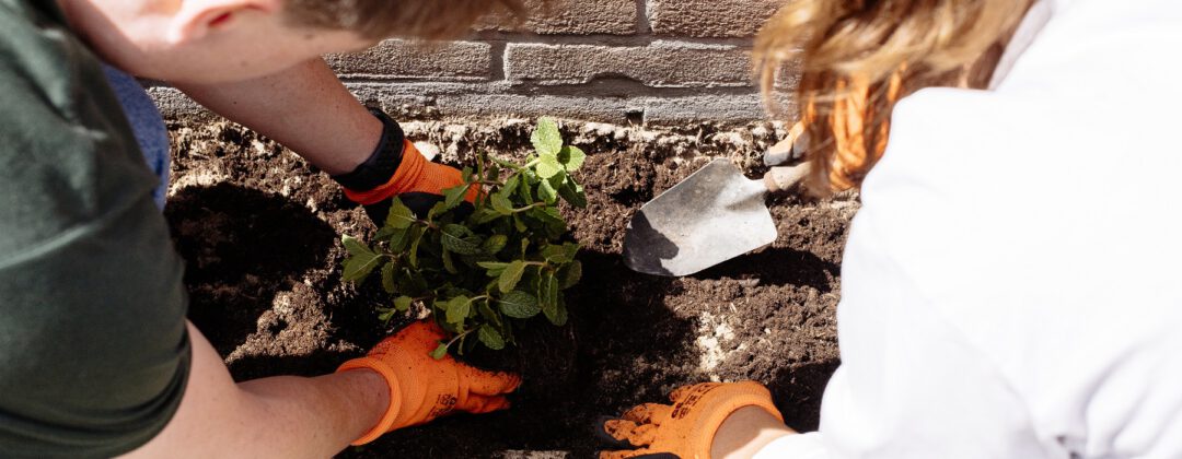 Vergroen je tuin en buurt